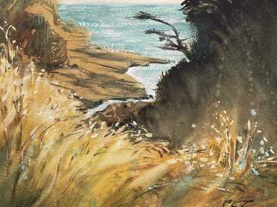 Warm Breeze on Monterey Cypress