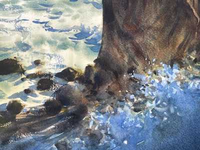 Midday Shadows on Bodega Bay